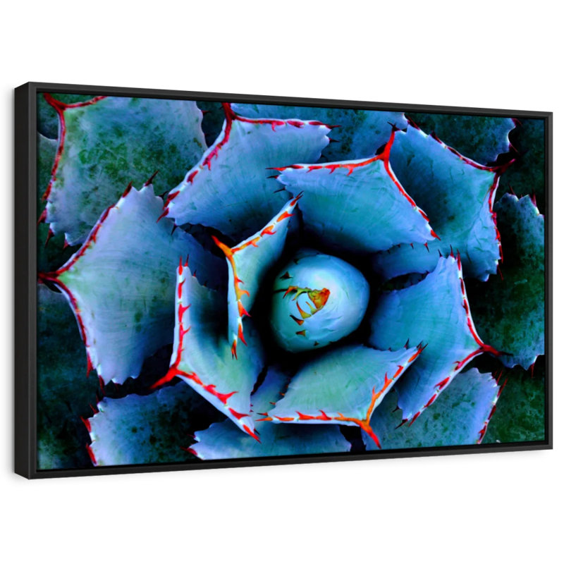 Floral et botanique «Red Lined Succulent Wall Art», H 9 po x l 13 po