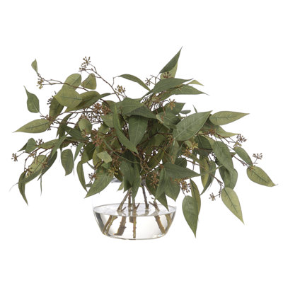 Eucalyptus, Green, Glass Vase, 24wx24dx19h