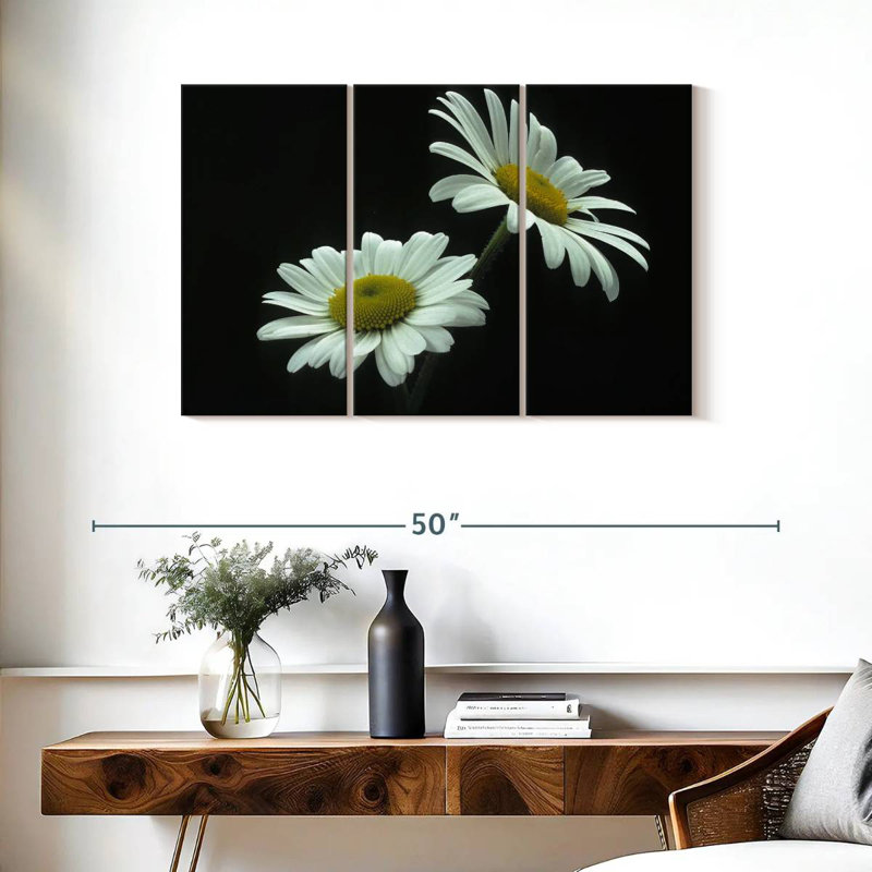 Grande marguerite Harnek Leucanthemum Vulgare, H 24 po x l 38 po