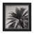 Palm Tree Sepia I