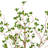 Toscani Artificial Potted Milan Leaf Tree in Black Planters Pot.-1282430135