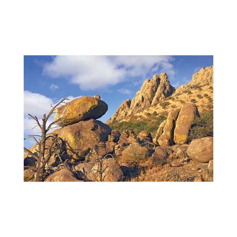 Rockpile, Davis Mountains, Chihuahuan Desert, Texas II by Tim Fitzharris - Wrapped Canvas Print, 20.32 cm H x 30.48 cm W