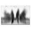 Photographers Lane - Wrapped Canvas Print-22471960
