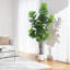 84cm Plant