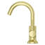 TENET Single Hole Bathroom Faucet with Drain Assembly
