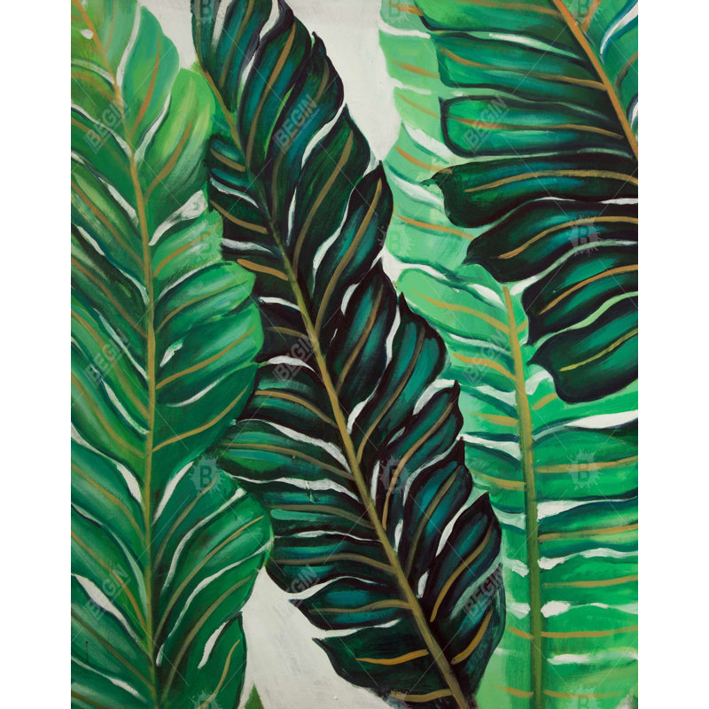 Several Exotic Plant Leaves Print On Canvas