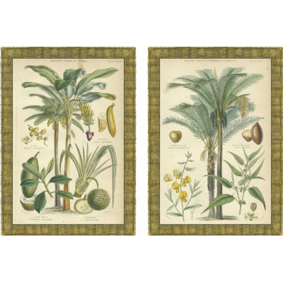 Mini Palms In Rattan - 2 Piece Wrapped Canvas Art Prints Set