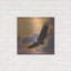 «Soaring Spirit» par Collin Bogle-308158751