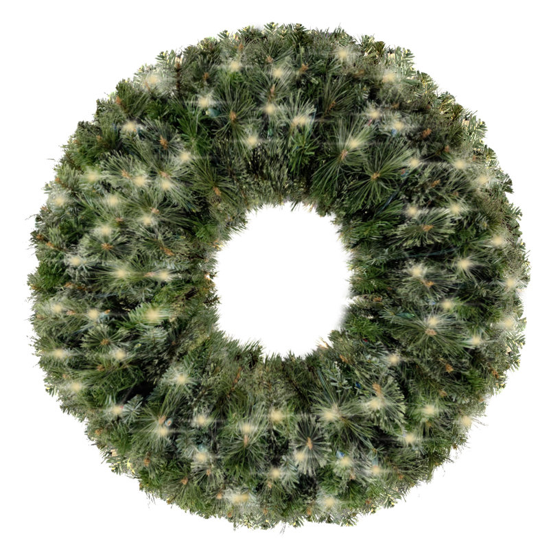 Couronne lumineuse 24 po