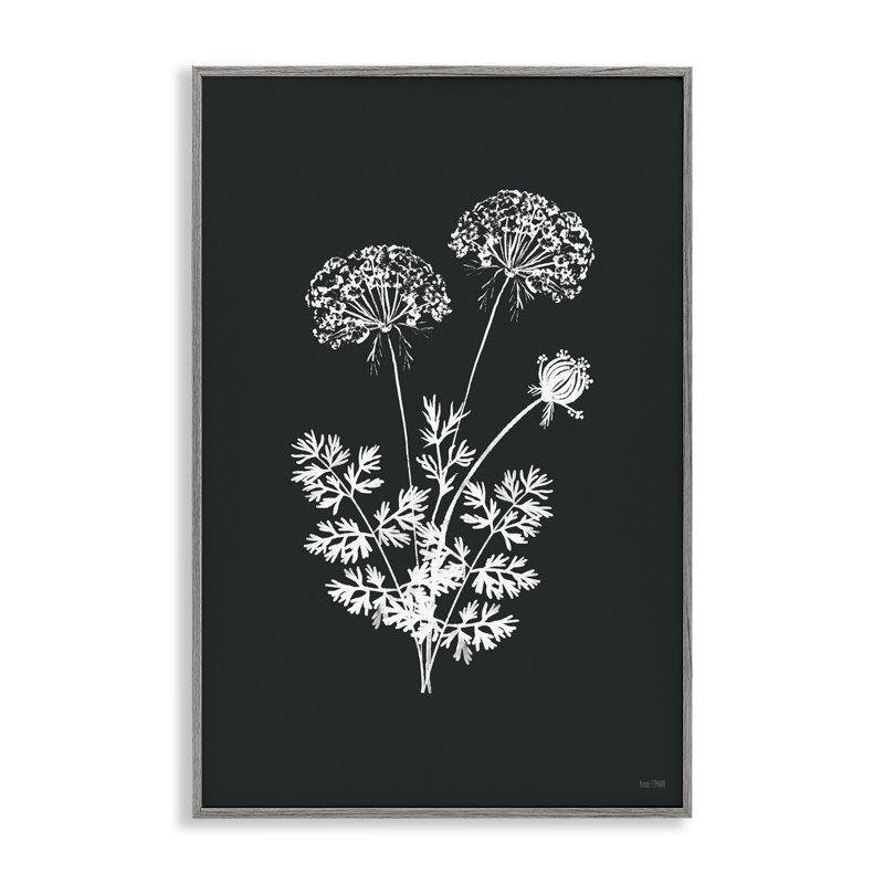Art de grappes d'herbes noires par House Fenway bg-175, Estampe numérique Farmhouse, H 24 po x l 16 po