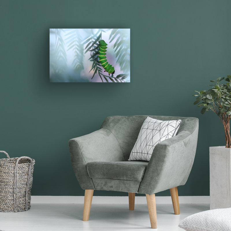 Art sur toile par Jimmy Hoffman, H 12 po x l 19 po