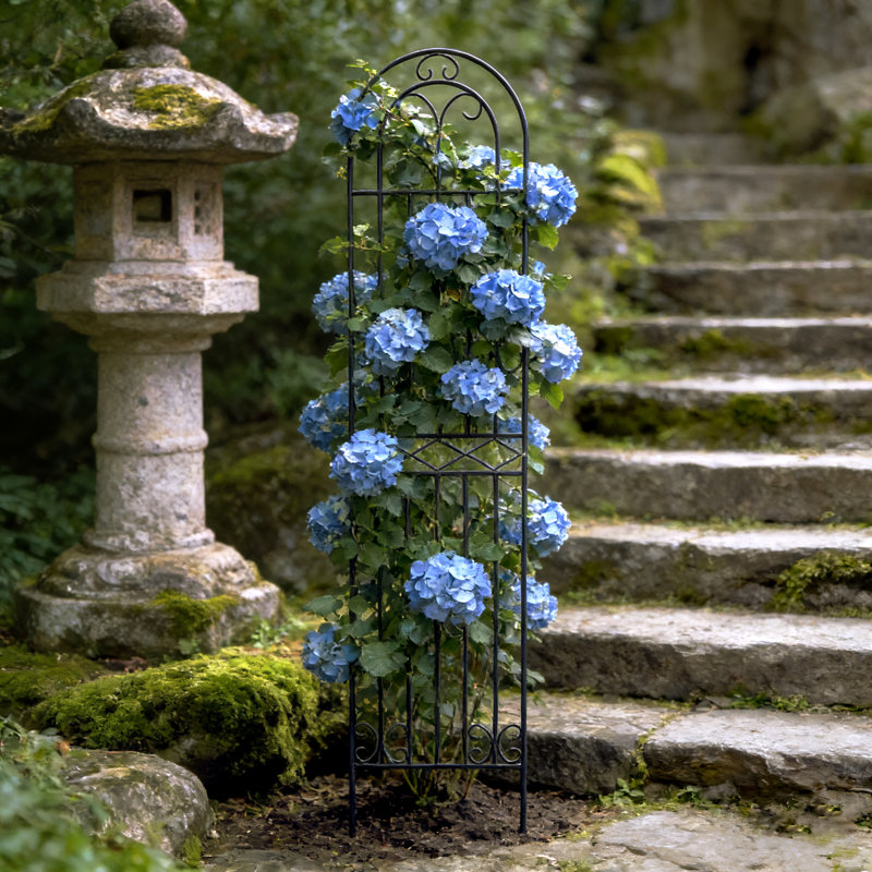 Panneaux arqués en métal pour treillis de jardin en métal pour vignes grimpantes (ensemble de 2)