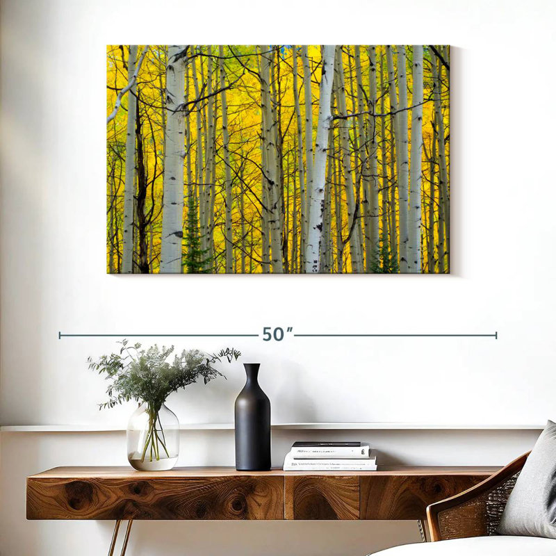 Bouleaux Alvord, forêt, automne