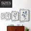 FLORAL Series DXLII-Premium Framed Print -Ready to Hang - No Nails Required - No Nails Required-107998663-107998667