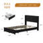 Structure de lit double tapissier à oreilles pleine grandeur en velours avec 2 tiroirs de rangement Aucun sommier requis Lit de détente confortable à assembler facilement, noir-108904226-108904229