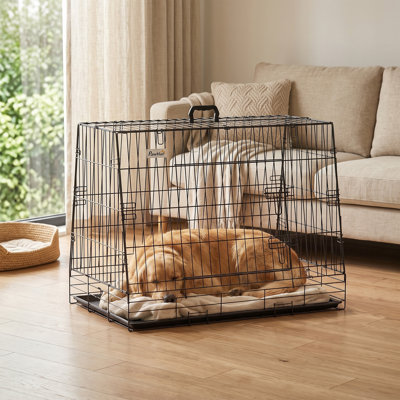 Dog Transport Cage