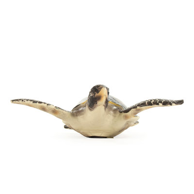 Bertrand Sea Turtle Figurine