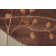 Arnim Floral Indoor Rug