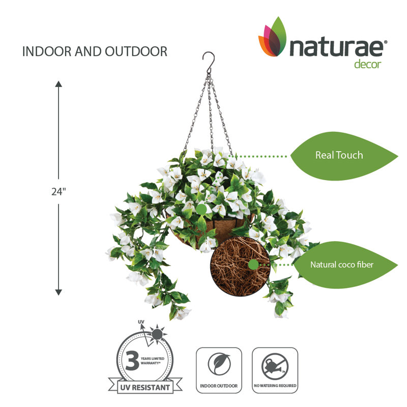 White Bougainvillea Hanging Planter