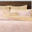 Donna Karan Evolution Euro Sham Gold