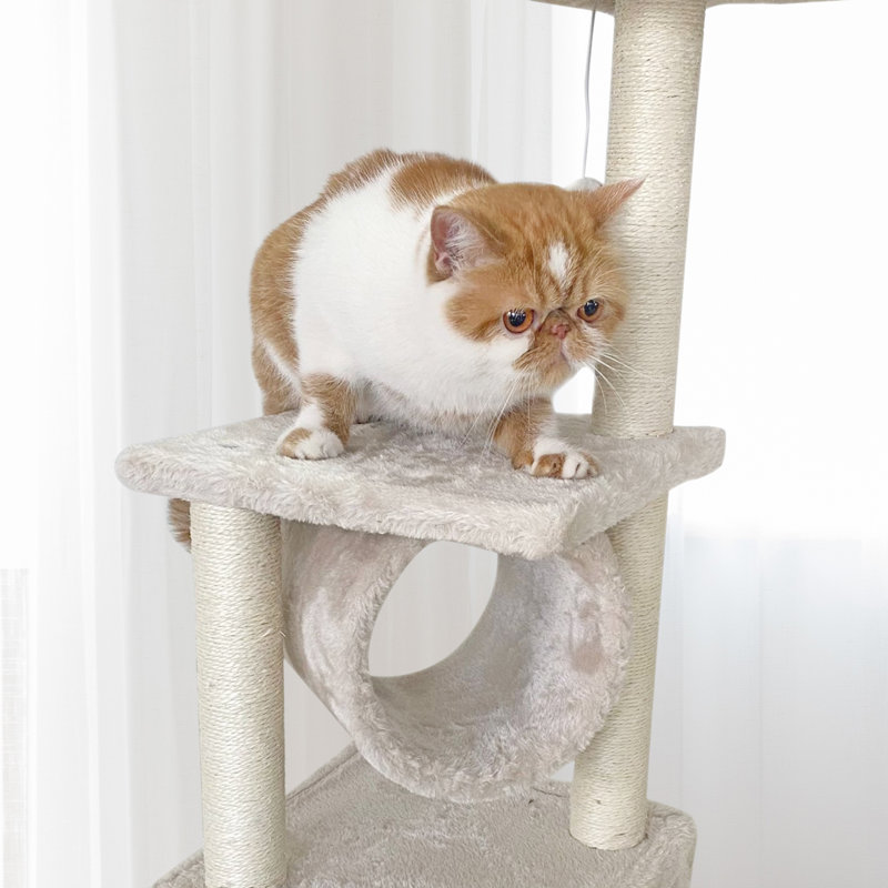 Patriki 35'' H Cat Tree