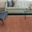 Ned Hand Tufted Wool Terracotta Rug-14461511