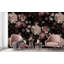 Papier peint romantique noir avec fleurs luxueuses-112696634