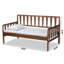 Midori Modern And Contemporary Transitional Walnut Brown Finished Wood Twin Size Daybed