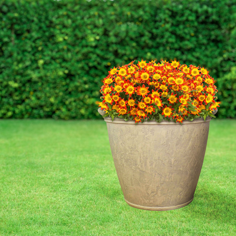 Blough 24" x 24" x 20" Round Polyresin Outdoor Planter Pot - Beige, 1, Beige