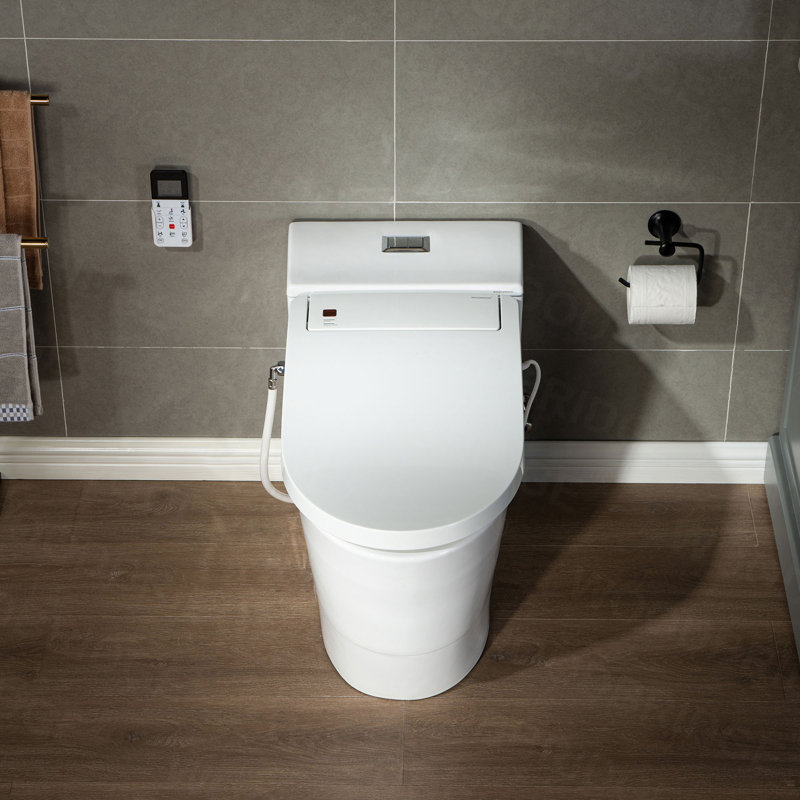 Elongated One Piece Toilet with Advanced Bidet Seat,Rear/Front Wash,Heated Seat,Wireless Remote