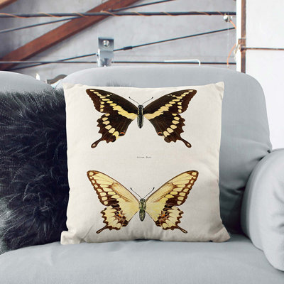 Square Cushion