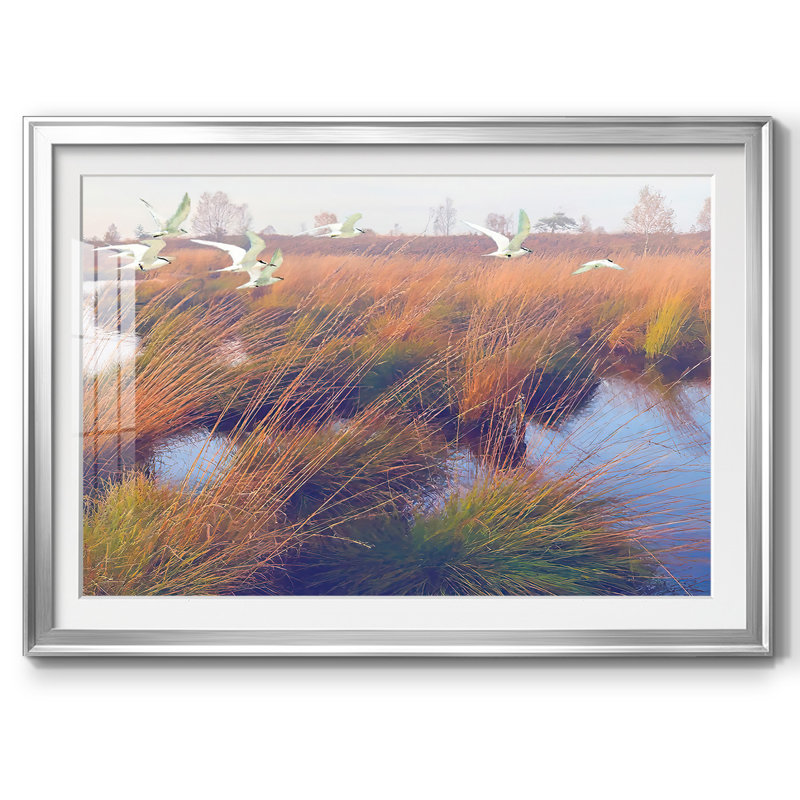 Marshland Hues II, reproduction d'art encadrée, Argent, H 30 po x l 44 po x P 1,5 po