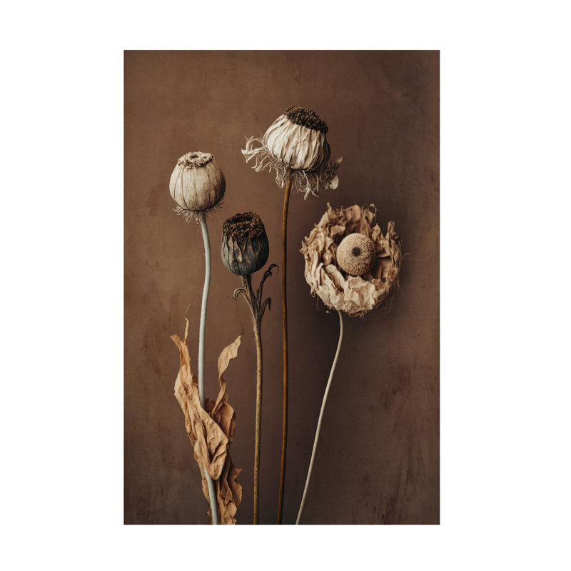 Art sur toile Treechild Three Dry Flowers