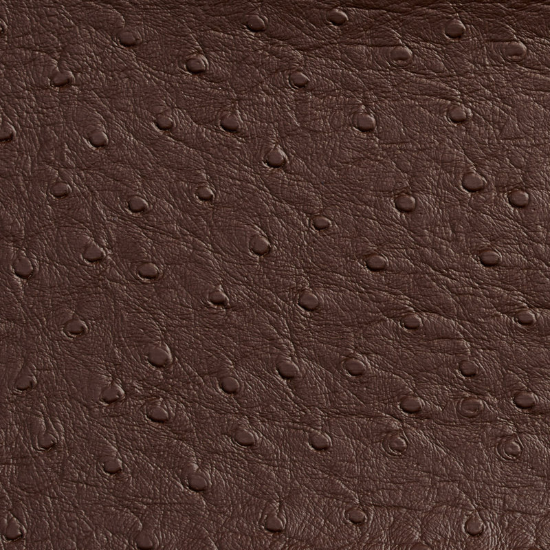 Vinyle d’extérieur autruche, Marron foncé