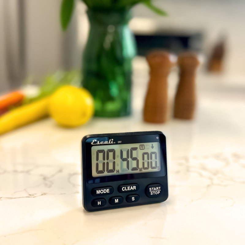 Extra Loud Digital Timer