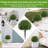 24 Inch Artificial Cedar Topiary Ball Trees With Ground Spike