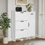 Range-chaussures avec 4 portes et 1 tiroir, grand espace de rangement