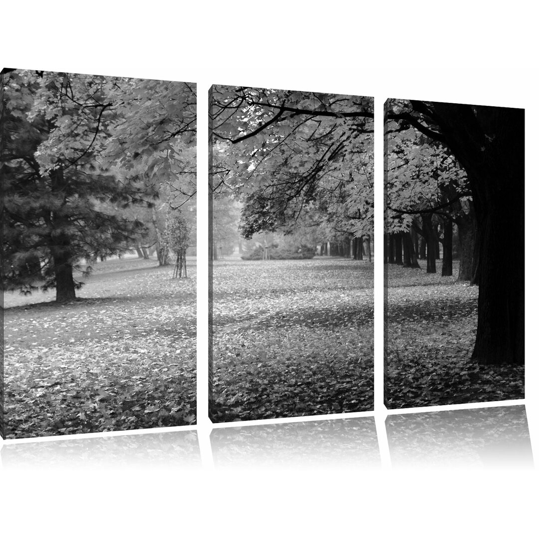 3-tlg. Leinwandbilder-Set „Schöner Park im Herbst“, Fotodruck 