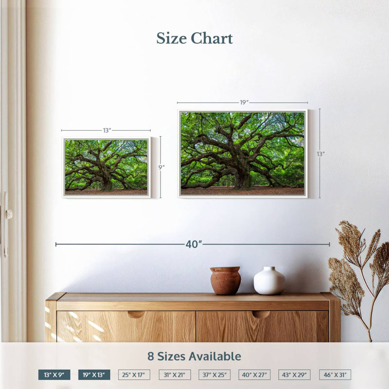 Vieux chêne, Cadre flottant blanc, 19 po x 13 po