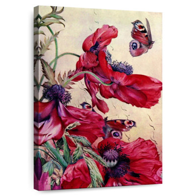 Harnek Poppy Nature Study 1917