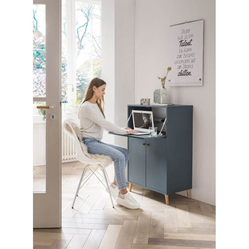 Datus Rectangular Desk with Cabinet, Blue