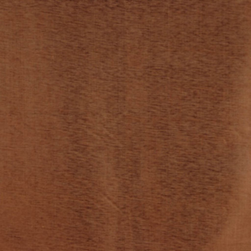 Tissu de seigle, Champignon