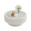 Table basse 31,5 po