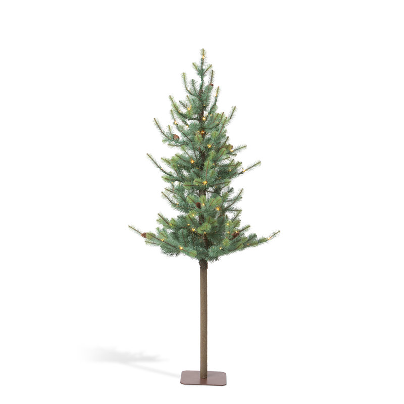 Arbre alpin bleu, 72 po, H 6 pi