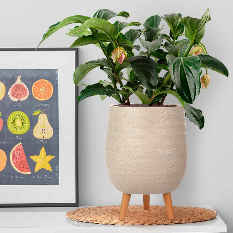 Concrete Effect Planter on Hardwood Legs, Round Indoor Plant Pot Stand for Indoor Plants, Indoor Flower Pot with Plaited Pattern