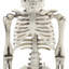Lampkins Halloween Decorative Accent