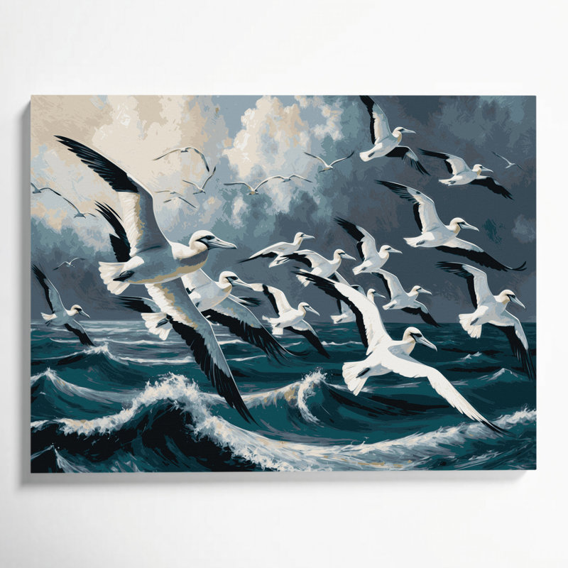 «Birds Northern Gannet», art mural sur toile, H 20 po x l 24 po