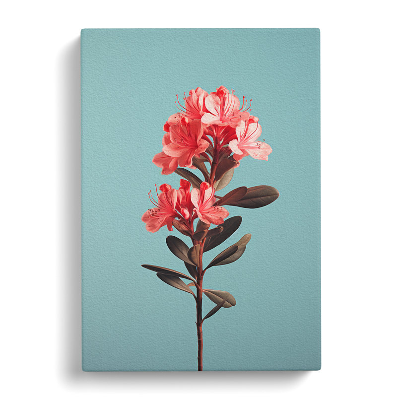 Rhododendron Minimalism No.2 - Wrapped Canvas