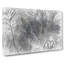 Plant Leaves In Abstract - Wrapped Canvas-1159778412