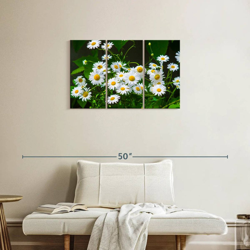 Harnek Chamomile Blooms, 20" H x 33" W